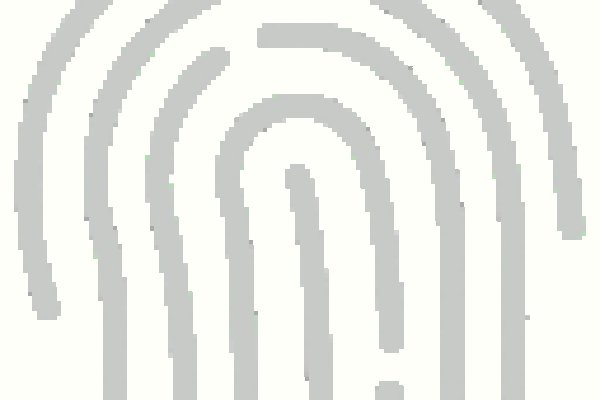 Kraken вход kraken torion