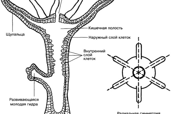 Kraken дарк магазин