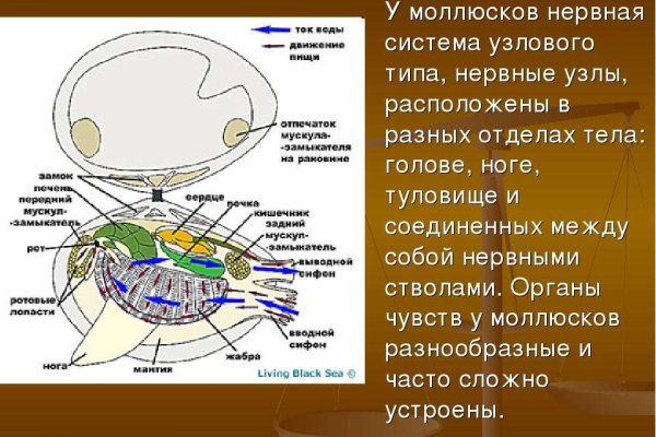 Кракен маркетплейс что там продают